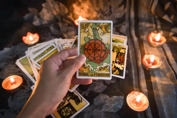 tarot cards Haslett